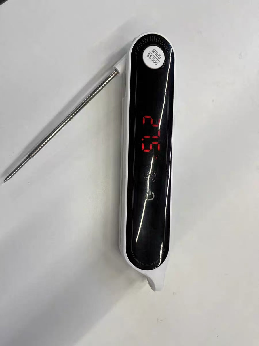 Portable Rechargeable Electronic Thermometer